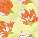 Resizeable Paper 06