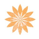 Shape 7