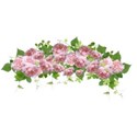 cabbage rose cluster 01
