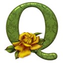 Q