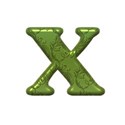 xx