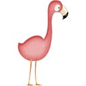 flamingo