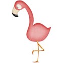 flamingo2