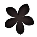 flowerblack