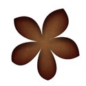 flowerbrown