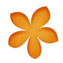 flowerorange