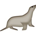 seal