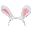 Bunny Ears