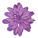 dlbeflowerpurple