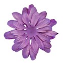 dlbeflowerpurple