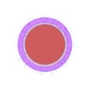 RoundFrame2