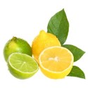 lemon and lima