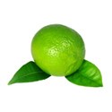 lime