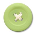 button1