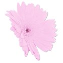 flower7