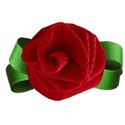 rosette2