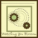 dvessels_subtleskies_blossomcoaster
