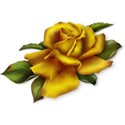 goldenrose1 copy