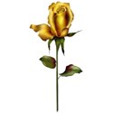 goldenrose3 copy