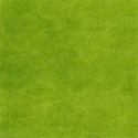 lisaminor_celebratemay_paper_i