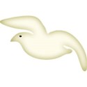 gull