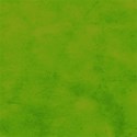 lisaminor_dabeans_paper_i