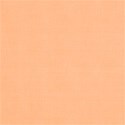 lisaminor_asimplesummer_paper_d