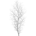 tree2
