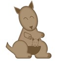 kangaroo