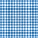 paper plaid blue