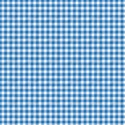 paper plaid blue