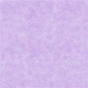 schua_May_Flowers_paper_5