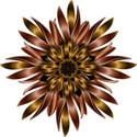 CLOPE_AutumnElegance_sunflower