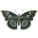 carilopez_AncestorsLegacy_butterfly