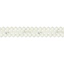 carilopez_AncestorsLegacy_laceborder