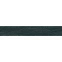 carilopez_AncestorsLegacy_ribbon