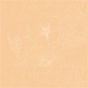 orange_background