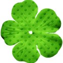 kitc_garden_flowergreen
