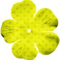 kitc_garden_floweryellow