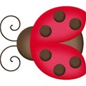 kitc_garden_ladybug