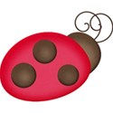 kitc_garden_ladybug2