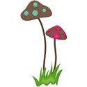 kitc_garden_mushrooms