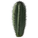 Cactus22