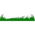 grass