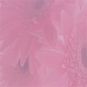 pink flower background