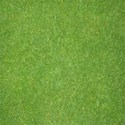 grass background