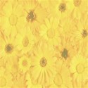 sunflowers background