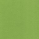 paper ribbed green