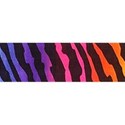zebra multi colored ribbon