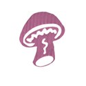 pink mushroom